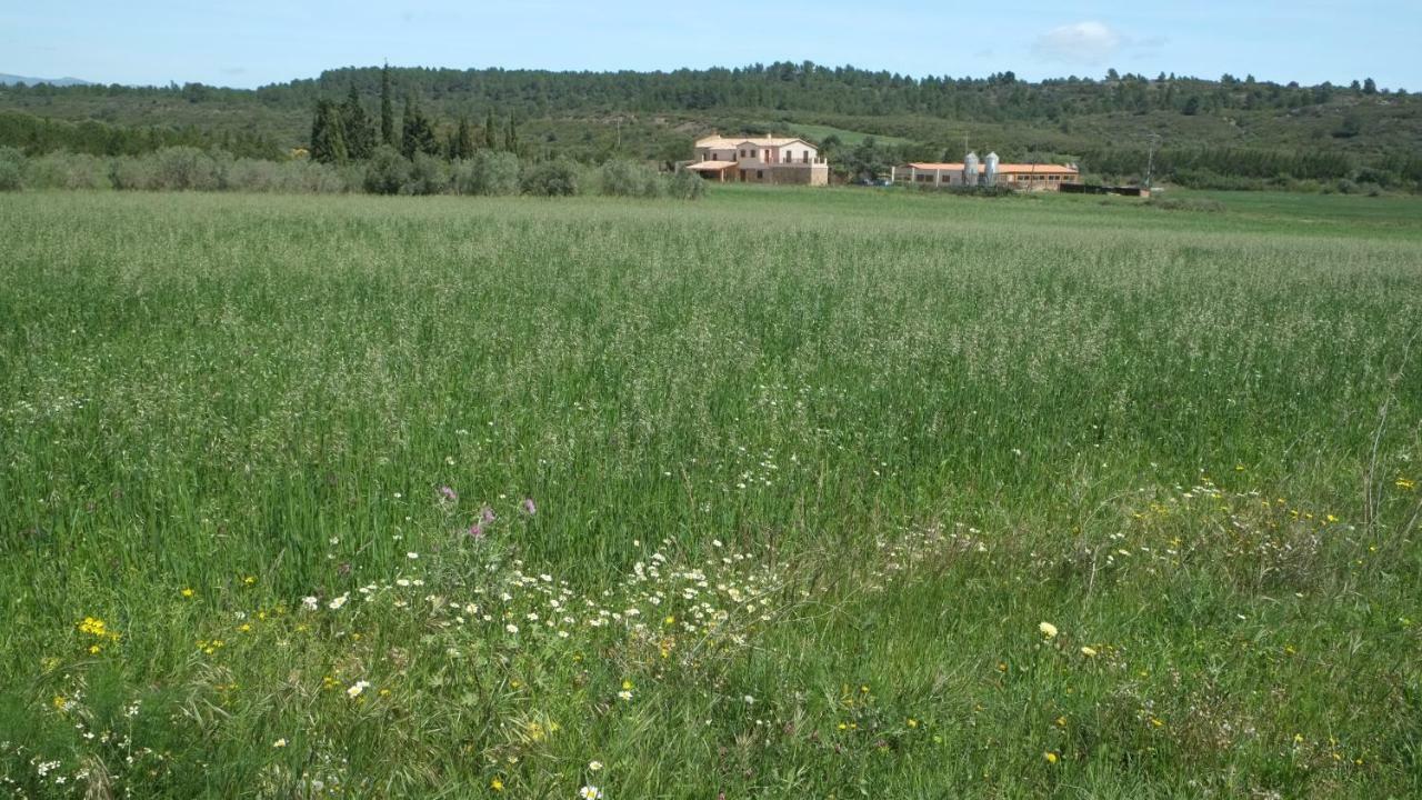 La Masia De Montpedros Peralada Exteriör bild